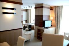 Номер VICTORIA APARTMENT - фото